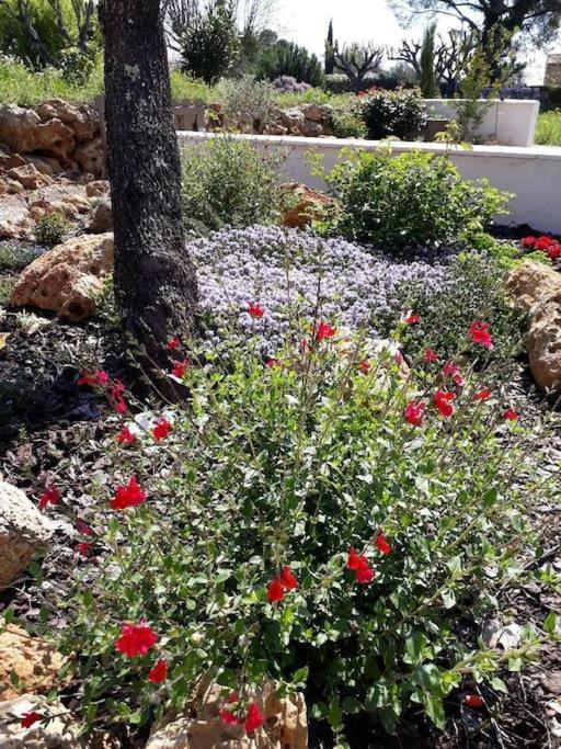 Maison 2 Ou 4 Personnes Jardin Parking Les Amandiers 로르귀 외부 사진